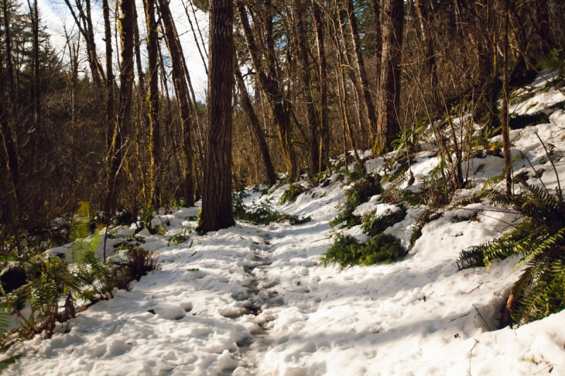 Mima Fall Hike, Washington State
