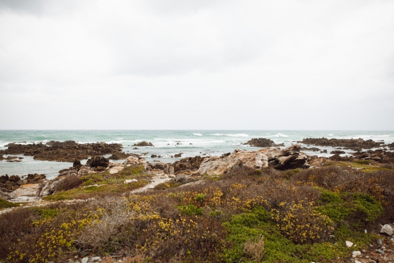 The very southernmost view of the coast in Africa with bright blue water, vegetaion and a rocky beach