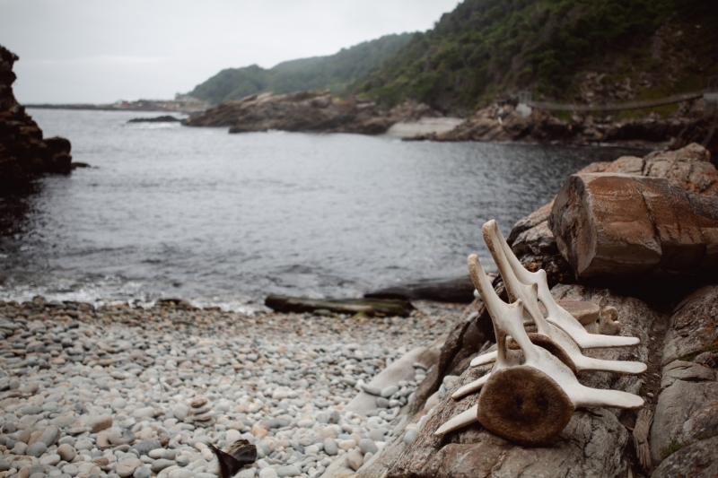 View of the river mouth from across the suspension bridge at Storms River